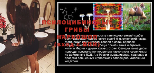 дмт Покачи